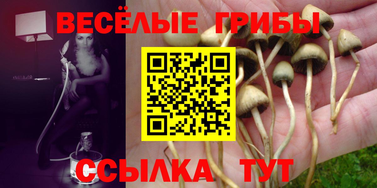 Апрелевка  Галлюциногенные грибы Magic Shrooms  Вход с VPN 